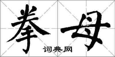 翁闓運拳母楷書怎么寫