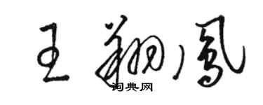 駱恆光王翔鳳草書個性簽名怎么寫