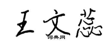 王正良王文蕊行書個性簽名怎么寫
