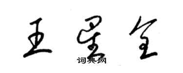 梁錦英王星全草書個性簽名怎么寫