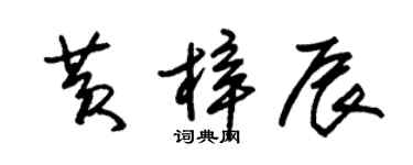 朱錫榮黃梓辰草書個性簽名怎么寫