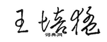 駱恆光王培猛草書個性簽名怎么寫