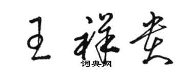 駱恆光王祥貴草書個性簽名怎么寫