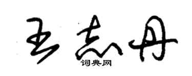 朱錫榮王志丹草書個性簽名怎么寫