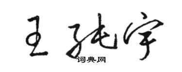 駱恆光王純宇草書個性簽名怎么寫