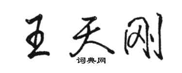 駱恆光王天剛行書個性簽名怎么寫