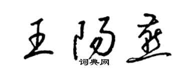 梁錦英王陽燕草書個性簽名怎么寫