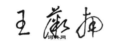 駱恆光王薇南草書個性簽名怎么寫
