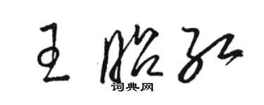 駱恆光王昭紅草書個性簽名怎么寫