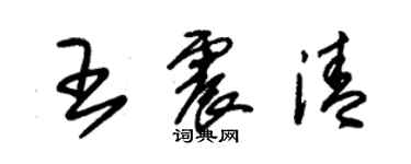 朱錫榮王震清草書個性簽名怎么寫