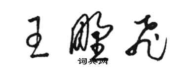 駱恆光王野飛草書個性簽名怎么寫