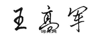 駱恆光王高軍行書個性簽名怎么寫