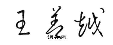 駱恆光王善越草書個性簽名怎么寫