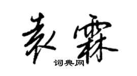 王正良袁霖行書個性簽名怎么寫