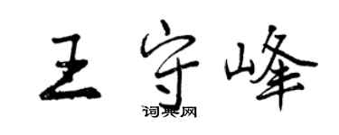 曾慶福王守峰行書個性簽名怎么寫