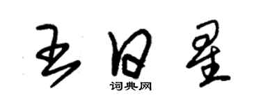 朱錫榮王日星草書個性簽名怎么寫