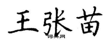 丁謙王張苗楷書個性簽名怎么寫