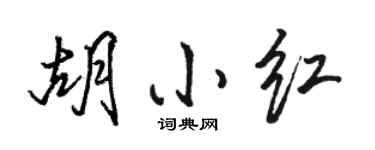 駱恆光胡小紅行書個性簽名怎么寫