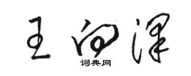 駱恆光王向澤草書個性簽名怎么寫