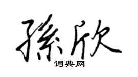 王正良孫欣行書個性簽名怎么寫