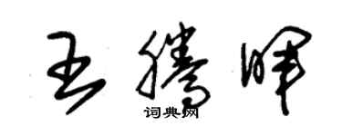 朱錫榮王騰暉草書個性簽名怎么寫