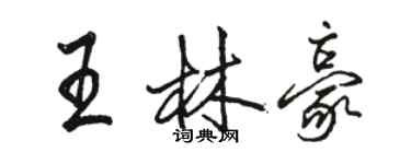 駱恆光王林豪行書個性簽名怎么寫