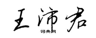 王正良王沛君行書個性簽名怎么寫