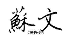 王正良蘇文行書個性簽名怎么寫