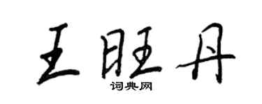 王正良王旺丹行書個性簽名怎么寫