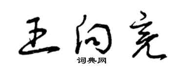 曾慶福王向亮草書個性簽名怎么寫