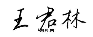 王正良王君林行書個性簽名怎么寫