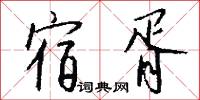 宿士的意思_宿士的解釋_國語詞典