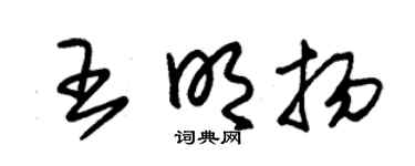 朱錫榮王明揚草書個性簽名怎么寫