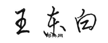 駱恆光王東白行書個性簽名怎么寫