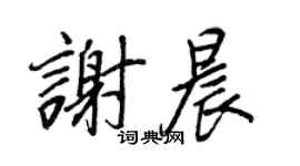 王正良謝晨行書個性簽名怎么寫