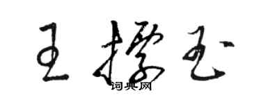 駱恆光王標玉草書個性簽名怎么寫