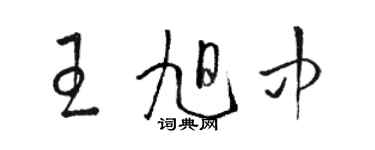 駱恆光王旭中草書個性簽名怎么寫