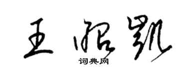 梁錦英王昭凱草書個性簽名怎么寫