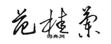 駱恆光范桂蘭草書個性簽名怎么寫