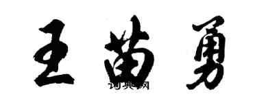 胡問遂王苗勇行書個性簽名怎么寫