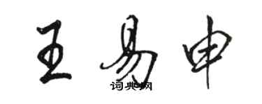 駱恆光王易申行書個性簽名怎么寫