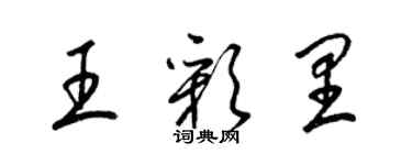 梁錦英王彩里草書個性簽名怎么寫