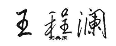 駱恆光王程瀾行書個性簽名怎么寫