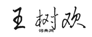 駱恆光王樹歡行書個性簽名怎么寫