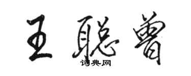 駱恆光王聰曾行書個性簽名怎么寫