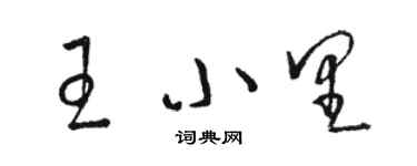 駱恆光王小里草書個性簽名怎么寫