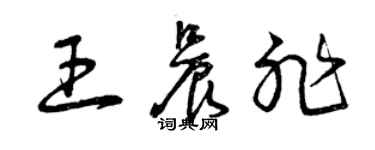 曾慶福王晨非草書個性簽名怎么寫