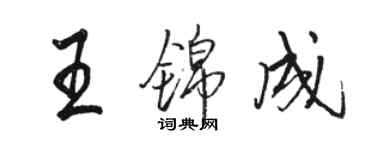 駱恆光王錦成行書個性簽名怎么寫