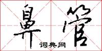 鼻旁竇的意思_鼻旁竇的解釋_國語詞典