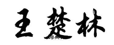 胡問遂王楚林行書個性簽名怎么寫